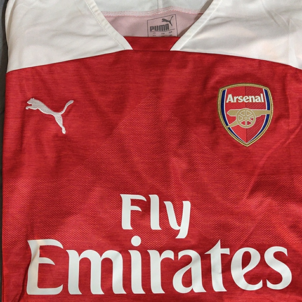Puma Men's Arsenal 2018-2019 Home shirt